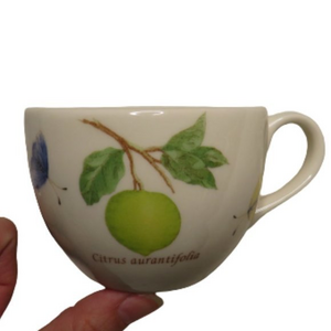 WEDGWOOD SARAH’S‎ GARDEN England 1759 Queens Ware tea cup